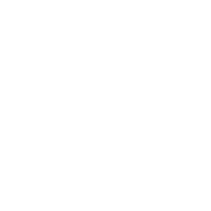 raylogo-76d1c42f